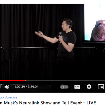 Everything we know about Elon Musk’s brain chip Everything we know about Elon Musk’s brain chip