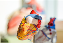 Detect a heart attack 10 years before it happens, thanks to science Detect a heart attack 10 years before it happens, thanks to science