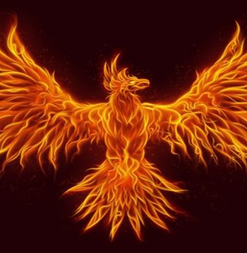 Comment on Cohort-Based Learning (Online) – Learning Systems Hot Trend in 2023 by By Craig WeissCohort-Based Online Learning – Ready..Set… Comment on Cohort-Based Learning (Online) – Learning Systems Hot Trend in 2023 by By Craig WeissCohort-Based Online Learning – Ready..Set…