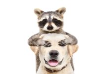 Surprises so Far in 2023 Surprises so Far in 2023