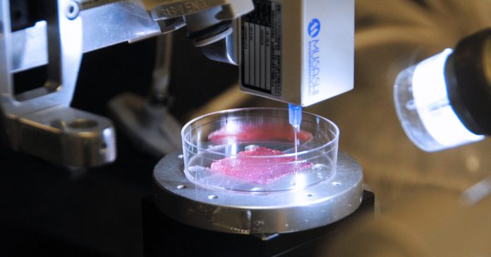3-D Bioprinting: A Modern Day Prometheus