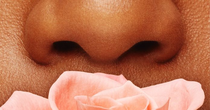 What the Nose Knows: The Underappreciated Olfactory Sense