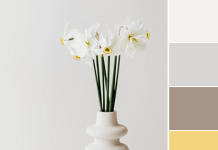 Color Love | Spring Yellow & Gray Color Love | Spring Yellow & Gray