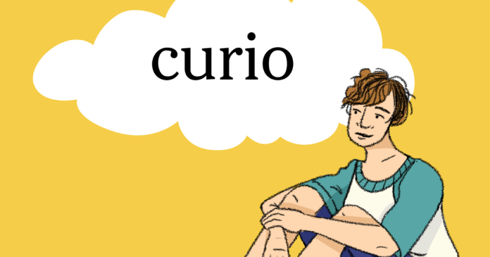 Word of the Day: curio