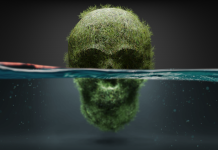 Film Club: ‘How to Fall Out of Love With Your Lawn’ Film Club: ‘How to Fall Out of Love With Your Lawn’