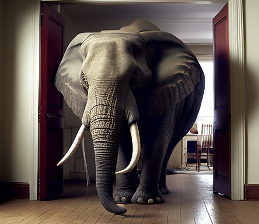 5 Questions U must Ask Every Vendor with Gen-AI 5 Questions U must Ask Every Vendor with Gen-AI