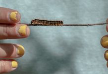 Five Photography Assignments That Invite You to Look Closely at the World Five Photography Assignments That Invite You to Look Closely at the World