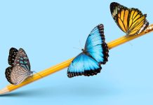 How Did You Grow and Change This School Year? How Did You Grow and Change This School Year?