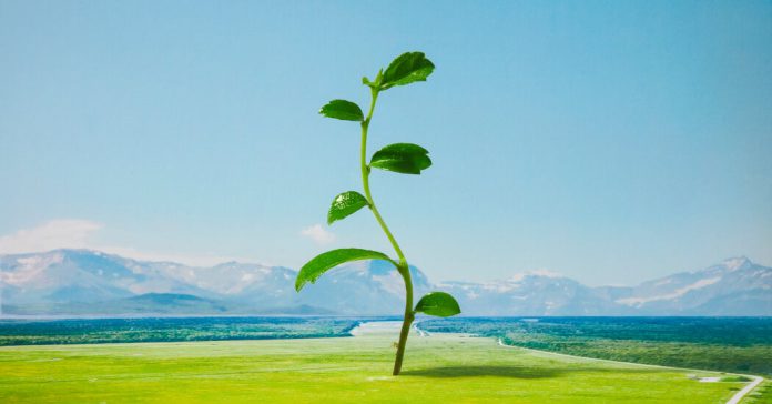 10 Ideas for Reflecting at the End of the School Year