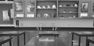 Are Your Classroom Decorations Reducing Learning? Are Your Classroom Decorations Reducing Learning?