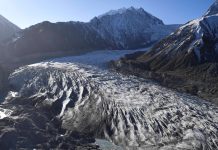 ‘My Heart Was Racing’: The Week 5 Winner of Our Summer Reading Contest ‘My Heart Was Racing’: The Week 5 Winner of Our Summer Reading Contest