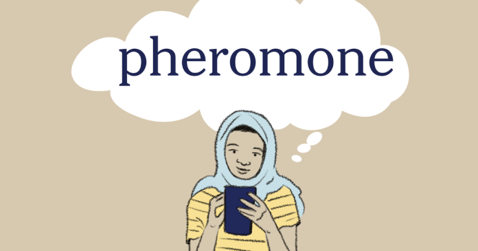 Word of the Day: pheromone