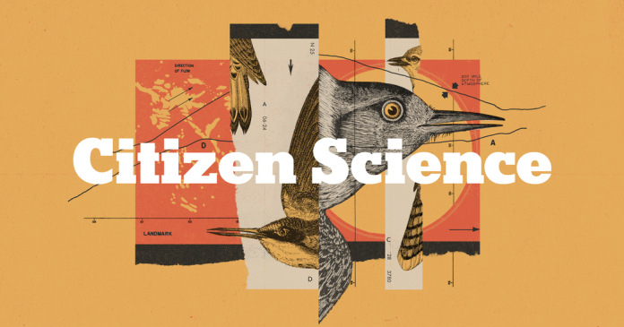 8 Ways to Bring Birds and Birding Into Your Classroom