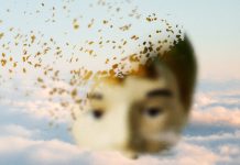 Head in the Clouds Head in the Clouds