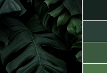 Color Love | Dark Greens Color Love | Dark Greens