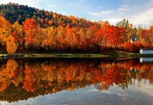 Fall Fall