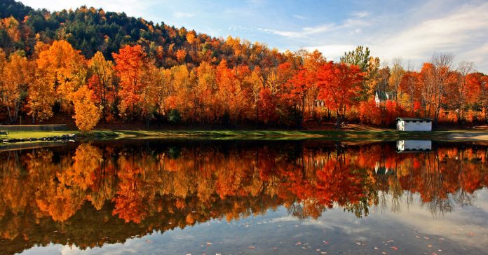 Fall