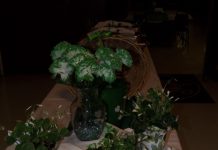 Shhhh… Listen! Do You Hear The Sound Of Holidays For Today? Shhhh… Listen! Do You Hear The Sound Of Holidays For Today?