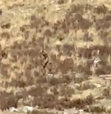 Do You Think Any of These Mythical Creatures Might Be Real? Do You Think Any of These Mythical Creatures Might Be Real?