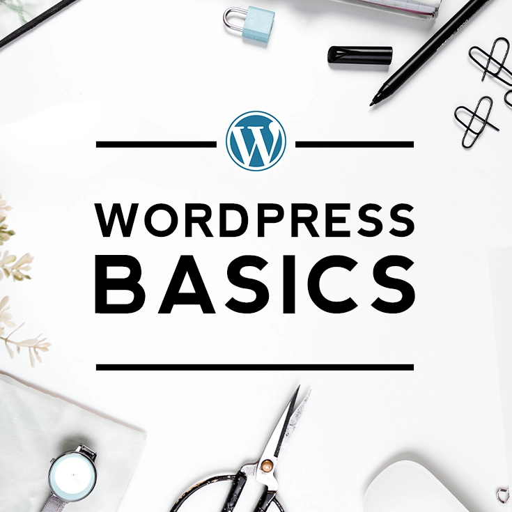 WordPress Basics – If you are new, start here!
