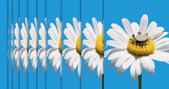 What ‘Oddball Rituals’ Do You Have?