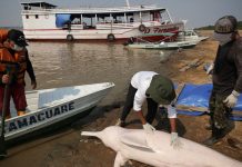 Weekly Student News Quiz: The Israel-Hamas War, a Viral Video, SAT Data Weekly Student News Quiz: The Israel-Hamas War, a Viral Video, SAT Data