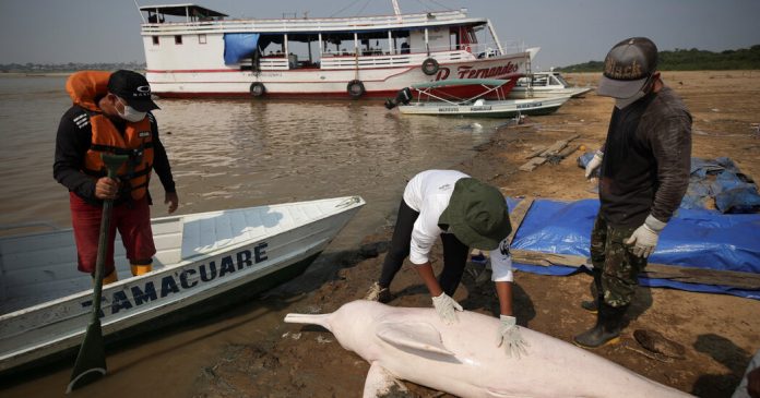 Weekly Student News Quiz: The Israel-Hamas War, a Viral Video, SAT Data