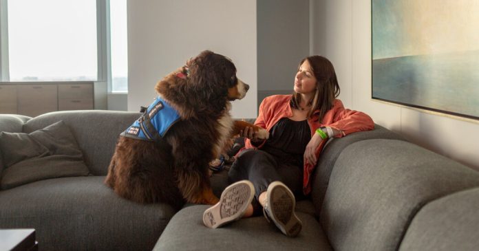 Would You Take Mental Health Advice From TikTok?