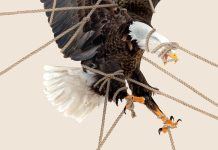 Eagle and Ropes Eagle and Ropes