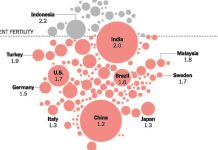 What’s Going On in This Graph? | Nov. 15, 2023 What’s Going On in This Graph? | Nov. 15, 2023