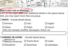 Lesson Plan About Race and the U.S. Census Lesson Plan About Race and the U.S. Census
