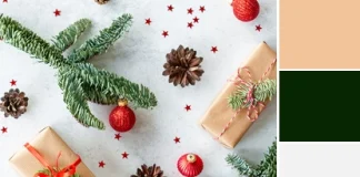 Color Love | Classic Christmas Colors Color Love | Classic Christmas Colors