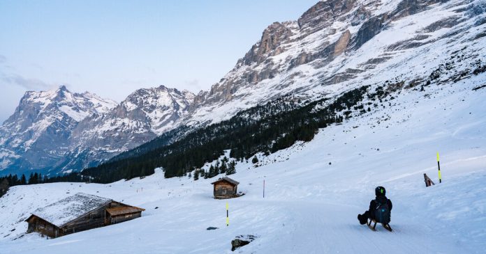 What Do You Appreciate About Winter?