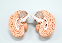 Exploring the Cerebellum: The Brain’s Master Coordinator Exploring the Cerebellum: The Brain’s Master Coordinator