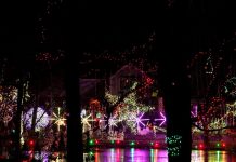 When Do Holiday Decorations Go From Festive to Excessive? When Do Holiday Decorations Go From Festive to Excessive?