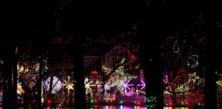 When Do Holiday Decorations Go From Festive to Excessive? When Do Holiday Decorations Go From Festive to Excessive?