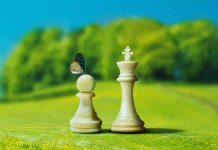 Do You Ever Feel Envious of Others? Do You Ever Feel Envious of Others?