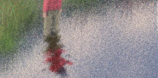 Reflections Reflections