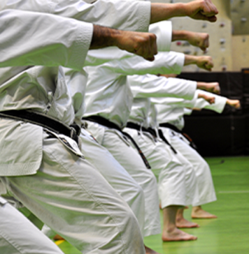 Unlock Your Potential: Explore the World of Martial Arts With Alison’s Free Online Courses Unlock Your Potential: Explore the World of Martial Arts With Alison’s Free Online Courses