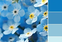 Color Love | Unforgettable Blue & Yellow Color Love | Unforgettable Blue & Yellow