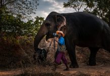 What’s Going On in This Picture? | Jan. 29, 2024 What’s Going On in This Picture? | Jan. 29, 2024