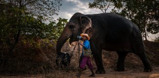 What’s Going On in This Picture? | Jan. 29, 2024 What’s Going On in This Picture? | Jan. 29, 2024