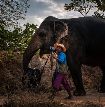 What’s Going On in This Picture? | Jan. 29, 2024 What’s Going On in This Picture? | Jan. 29, 2024