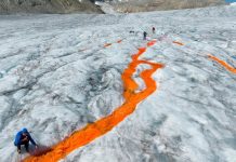 What’s Going On in This Picture? | Feb. 26, 2024 What’s Going On in This Picture? | Feb. 26, 2024