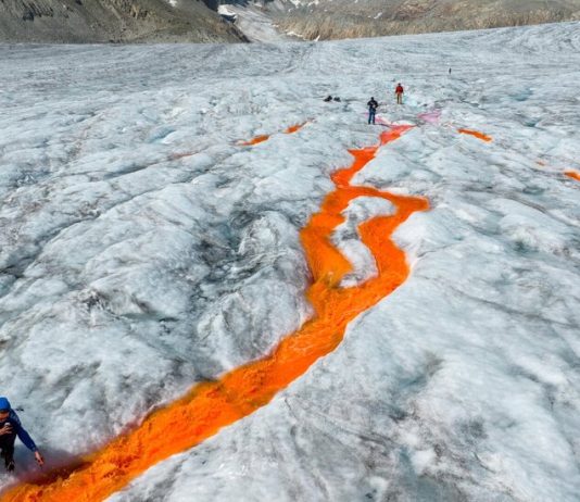 What’s Going On in This Picture? | Feb. 26, 2024 What’s Going On in This Picture? | Feb. 26, 2024