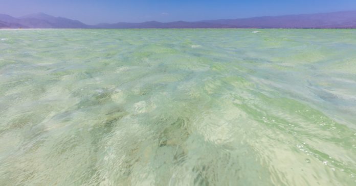 How Much Do You Know About Djibouti?