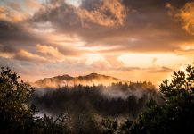 Guest Post: Interview with a Founder of an Environmental Education Company Guest Post: Interview with a Founder of an Environmental Education Company