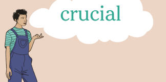 Word of the Day: crucial Word of the Day: crucial