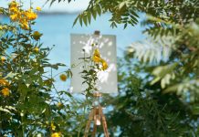 Can Poetry Make a Difference in Our Lives and in the World? Can Poetry Make a Difference in Our Lives and in the World?