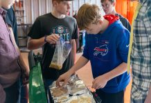 What Elective Do You Wish Your School Offered? What Elective Do You Wish Your School Offered?